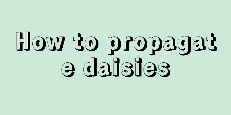 How to propagate daisies