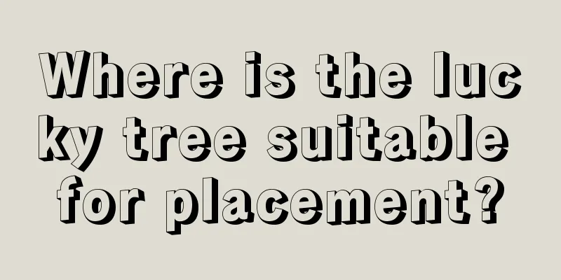 Where is the lucky tree suitable for placement?