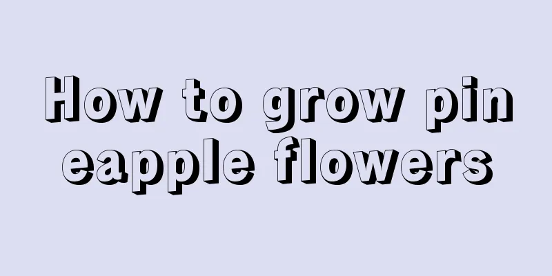 How to grow pineapple flowers