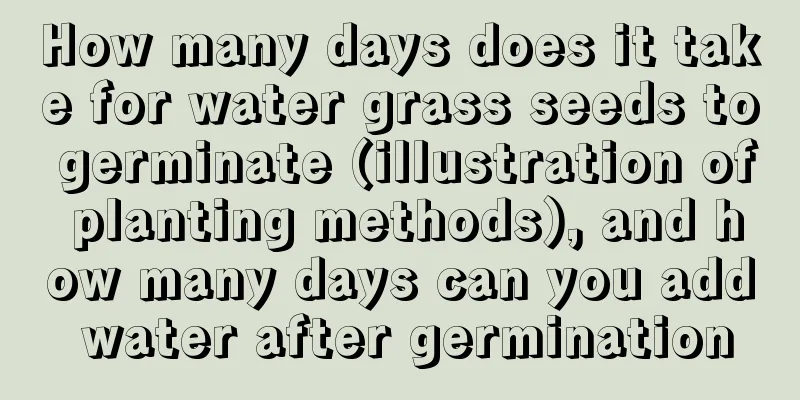 How many days does it take for water grass seeds to germinate (illustration of planting methods), and how many days can you add water after germination