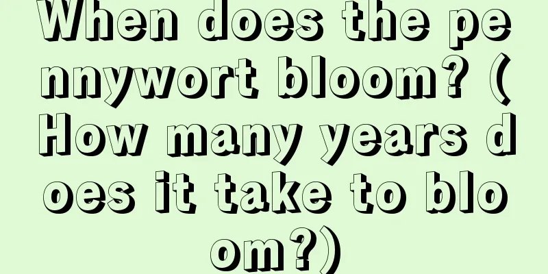 When does the pennywort bloom? (How many years does it take to bloom?)