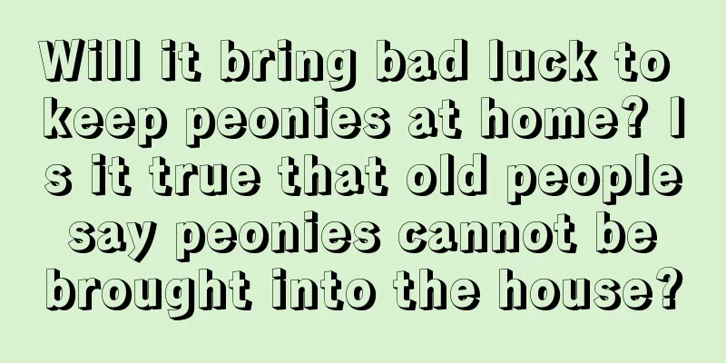 Will it bring bad luck to keep peonies at home? Is it true that old people say peonies cannot be brought into the house?