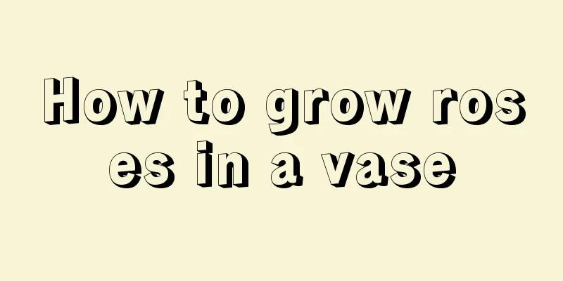 How to grow roses in a vase