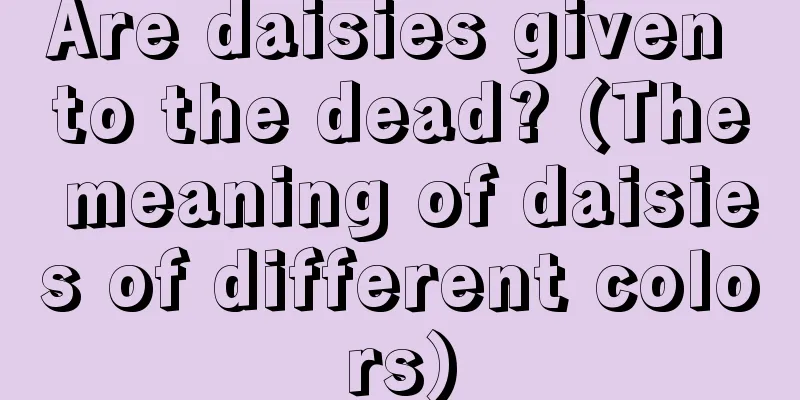 Are daisies given to the dead? (The meaning of daisies of different colors)