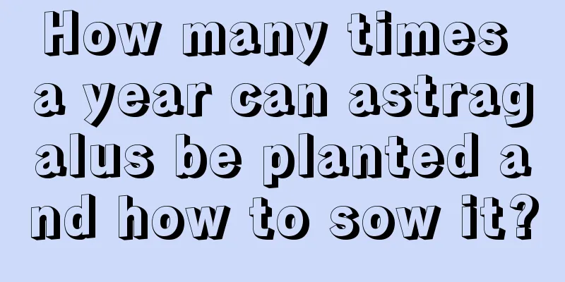 How many times a year can astragalus be planted and how to sow it?