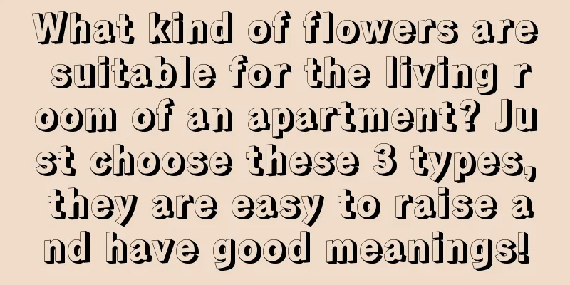 What kind of flowers are suitable for the living room of an apartment? Just choose these 3 types, they are easy to raise and have good meanings!