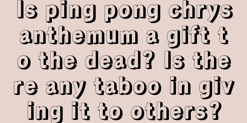 Is ping pong chrysanthemum a gift to the dead? Is there any taboo in giving it to others?