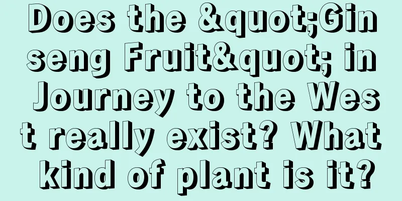 Does the "Ginseng Fruit" in Journey to the West really exist? What kind of plant is it?