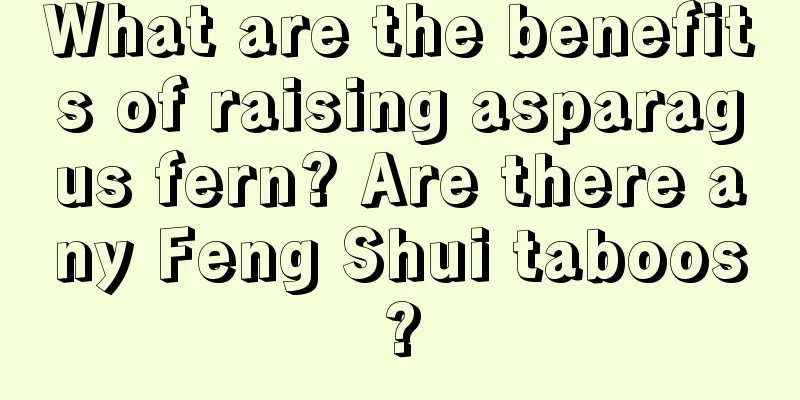 What are the benefits of raising asparagus fern? Are there any Feng Shui taboos?
