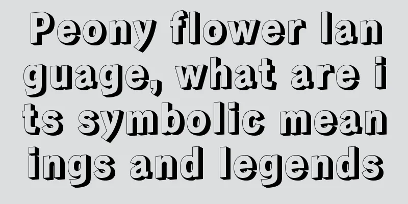 Peony flower language, what are its symbolic meanings and legends