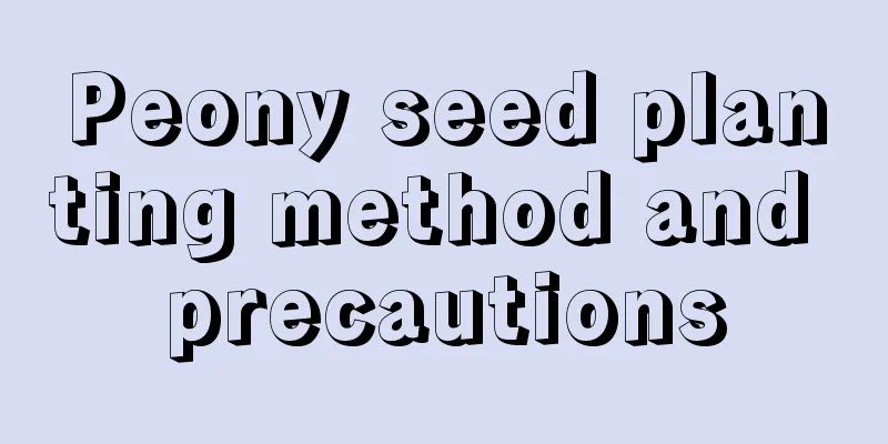 Peony seed planting method and precautions