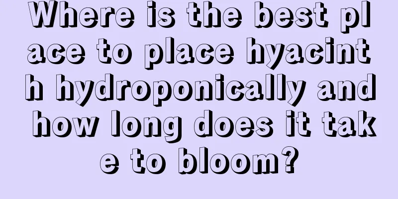 Where is the best place to place hyacinth hydroponically and how long does it take to bloom?