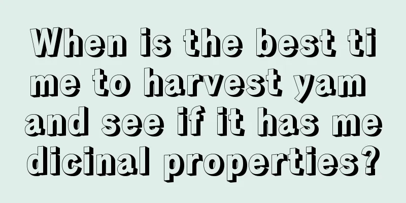 When is the best time to harvest yam and see if it has medicinal properties?