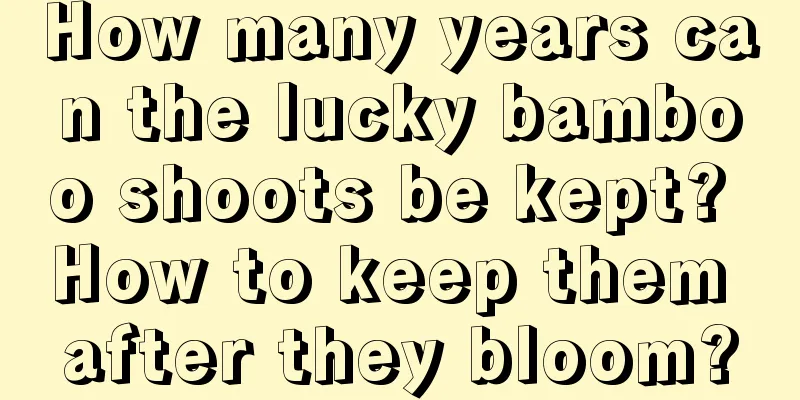 How many years can the lucky bamboo shoots be kept? How to keep them after they bloom?