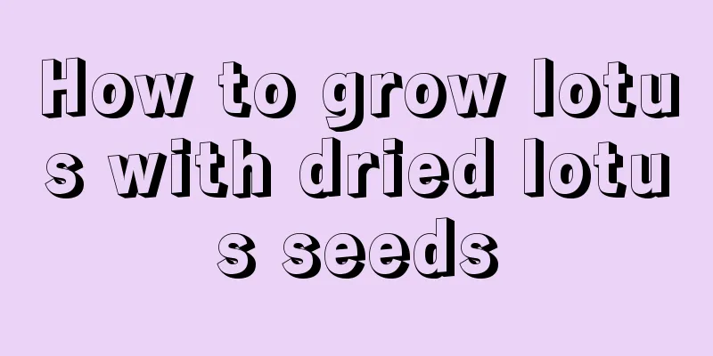 How to grow lotus with dried lotus seeds