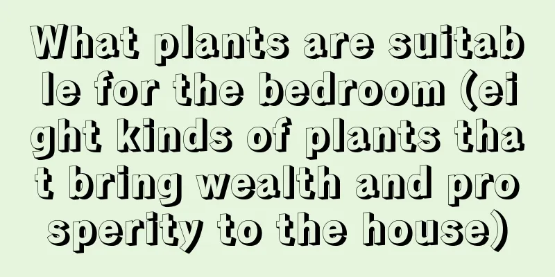 What plants are suitable for the bedroom (eight kinds of plants that bring wealth and prosperity to the house)