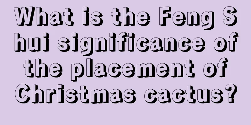 What is the Feng Shui significance of the placement of Christmas cactus?