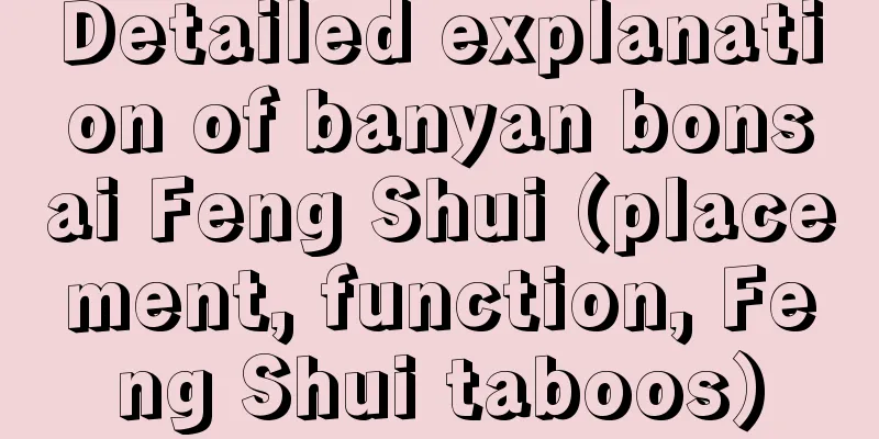 Detailed explanation of banyan bonsai Feng Shui (placement, function, Feng Shui taboos)