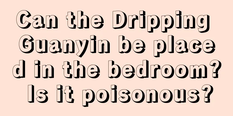 Can the Dripping Guanyin be placed in the bedroom? Is it poisonous?