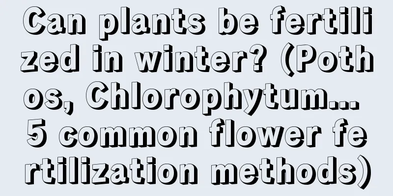 Can plants be fertilized in winter? (Pothos, Chlorophytum... 5 common flower fertilization methods)