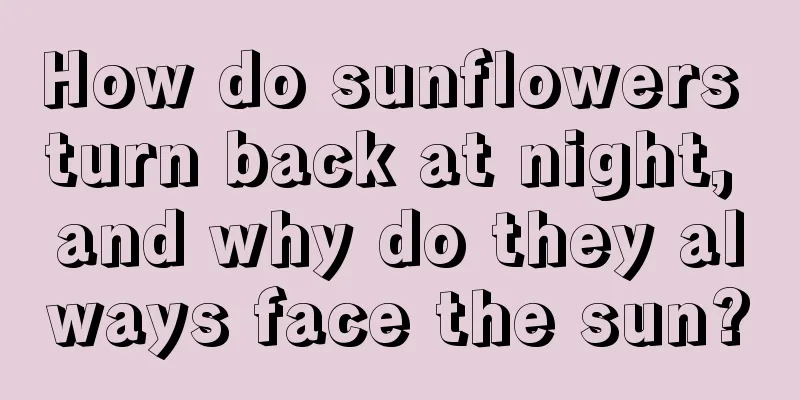 How do sunflowers turn back at night, and why do they always face the sun?