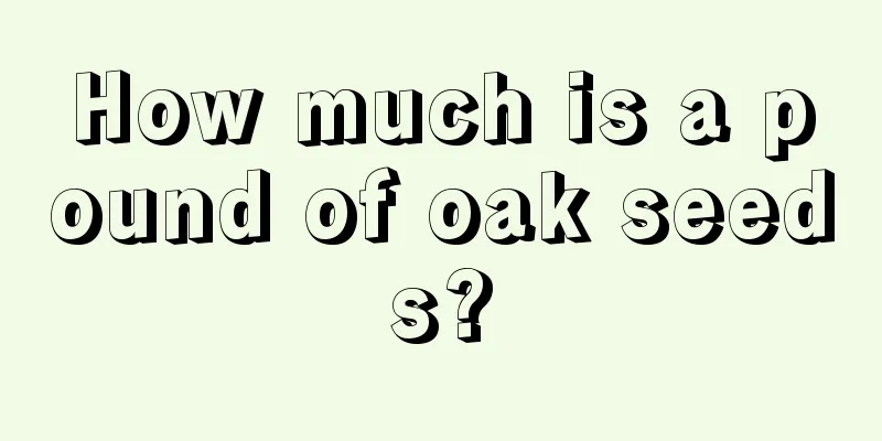 How much is a pound of oak seeds?