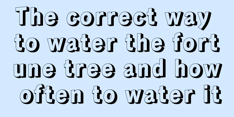 The correct way to water the fortune tree and how often to water it