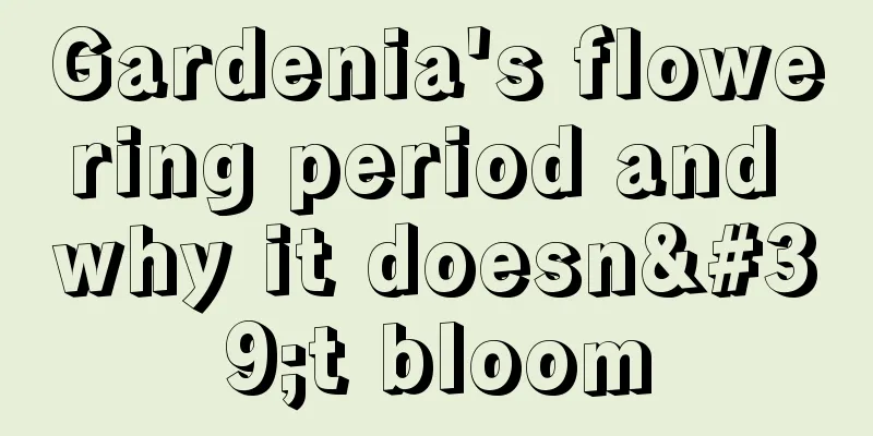 Gardenia's flowering period and why it doesn't bloom