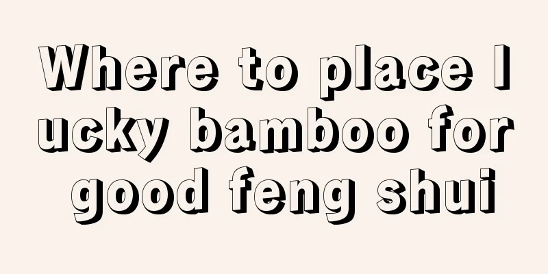 Where to place lucky bamboo for good feng shui