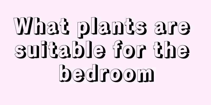 What plants are suitable for the bedroom