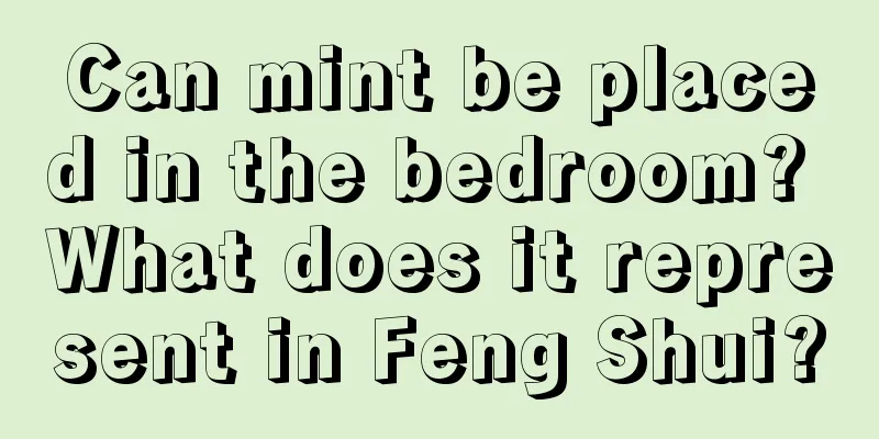 Can mint be placed in the bedroom? What does it represent in Feng Shui?