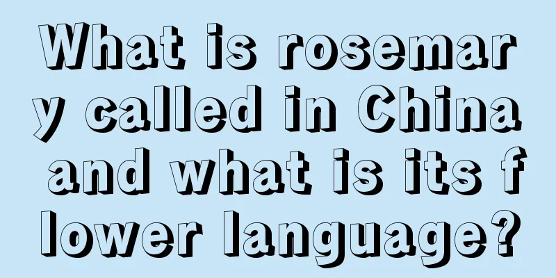 What is rosemary called in China and what is its flower language?