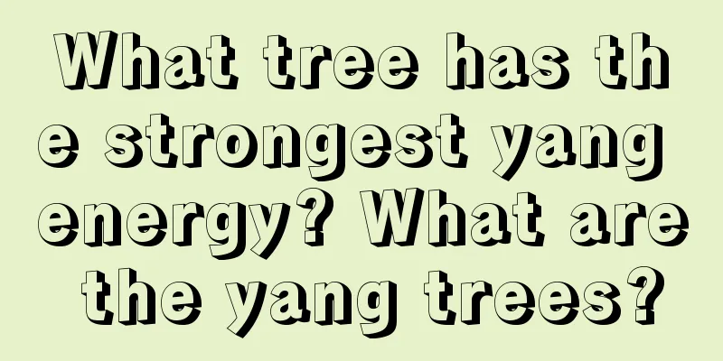 What tree has the strongest yang energy? What are the yang trees?