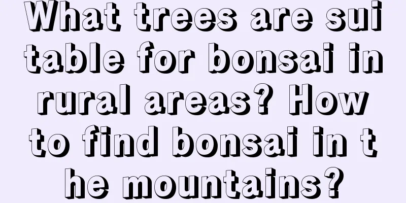 What trees are suitable for bonsai in rural areas? How to find bonsai in the mountains?