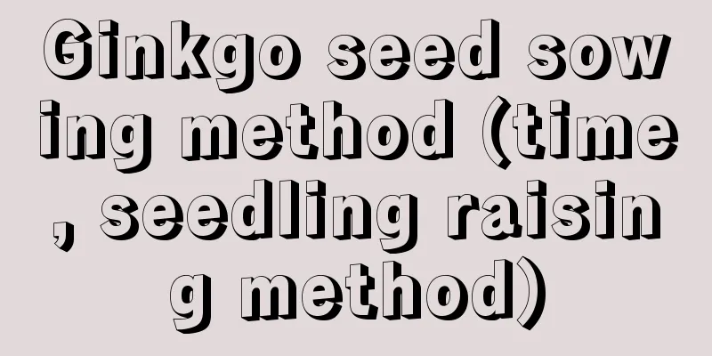 Ginkgo seed sowing method (time, seedling raising method)