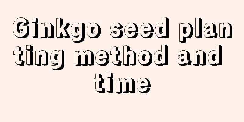 Ginkgo seed planting method and time