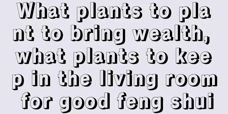 What plants to plant to bring wealth, what plants to keep in the living room for good feng shui