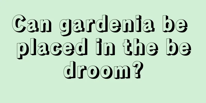 Can gardenia be placed in the bedroom?