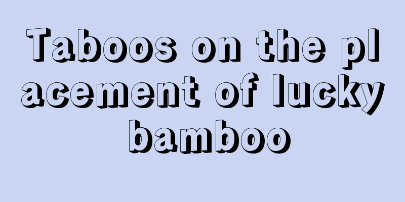 Taboos on the placement of lucky bamboo