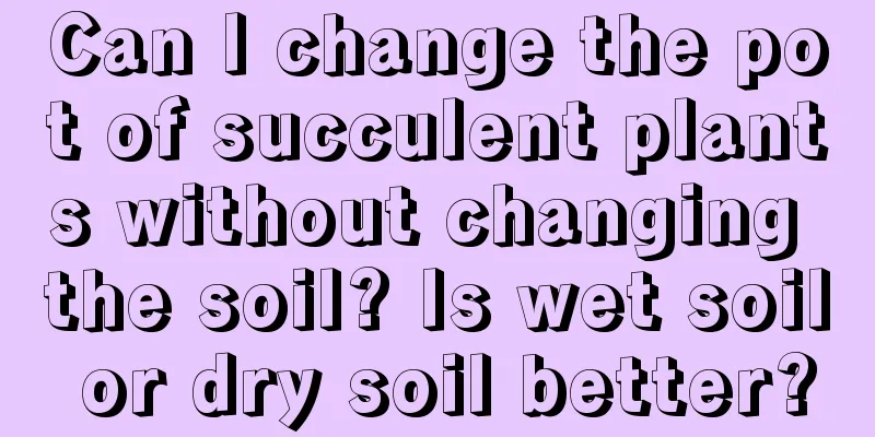 Can I change the pot of succulent plants without changing the soil? Is wet soil or dry soil better?