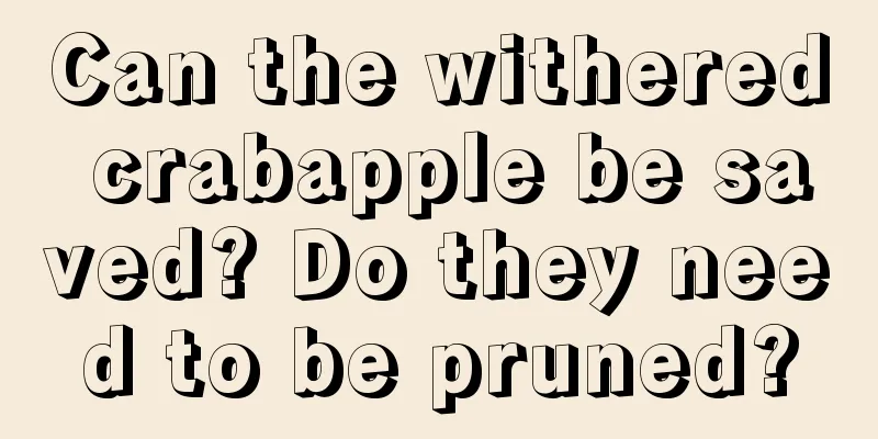 Can the withered crabapple be saved? Do they need to be pruned?