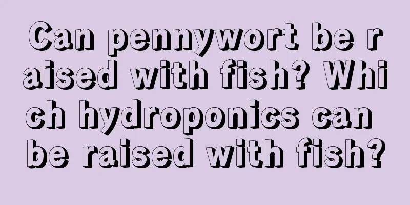 Can pennywort be raised with fish? Which hydroponics can be raised with fish?