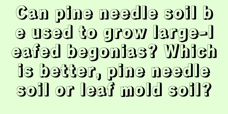 Can pine needle soil be used to grow large-leafed begonias? Which is better, pine needle soil or leaf mold soil?