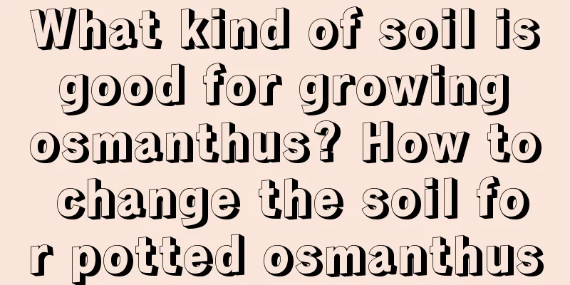 What kind of soil is good for growing osmanthus? How to change the soil for potted osmanthus