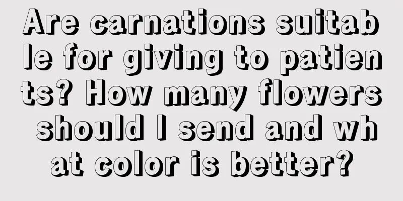 Are carnations suitable for giving to patients? How many flowers should I send and what color is better?