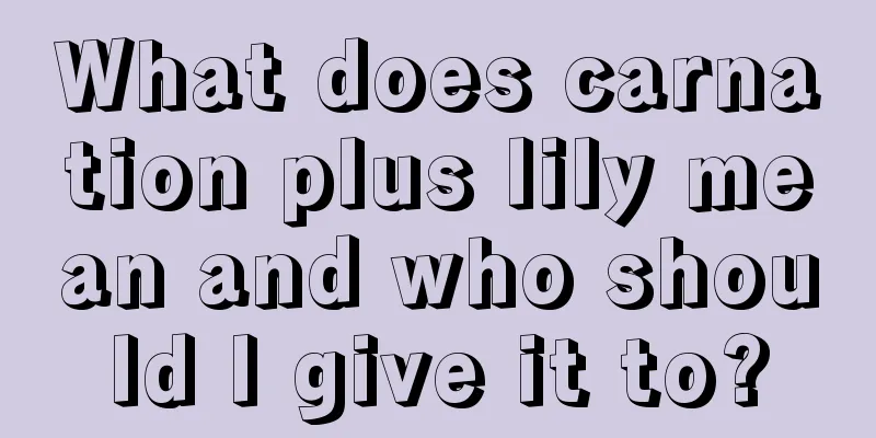 What does carnation plus lily mean and who should I give it to?