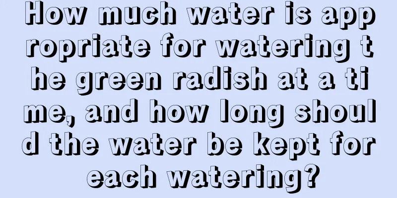 How much water is appropriate for watering the green radish at a time, and how long should the water be kept for each watering?