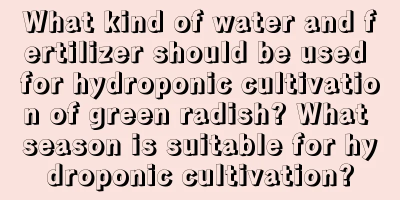 What kind of water and fertilizer should be used for hydroponic cultivation of green radish? What season is suitable for hydroponic cultivation?