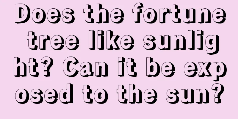 Does the fortune tree like sunlight? Can it be exposed to the sun?