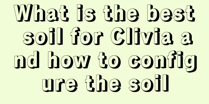 What is the best soil for Clivia and how to configure the soil